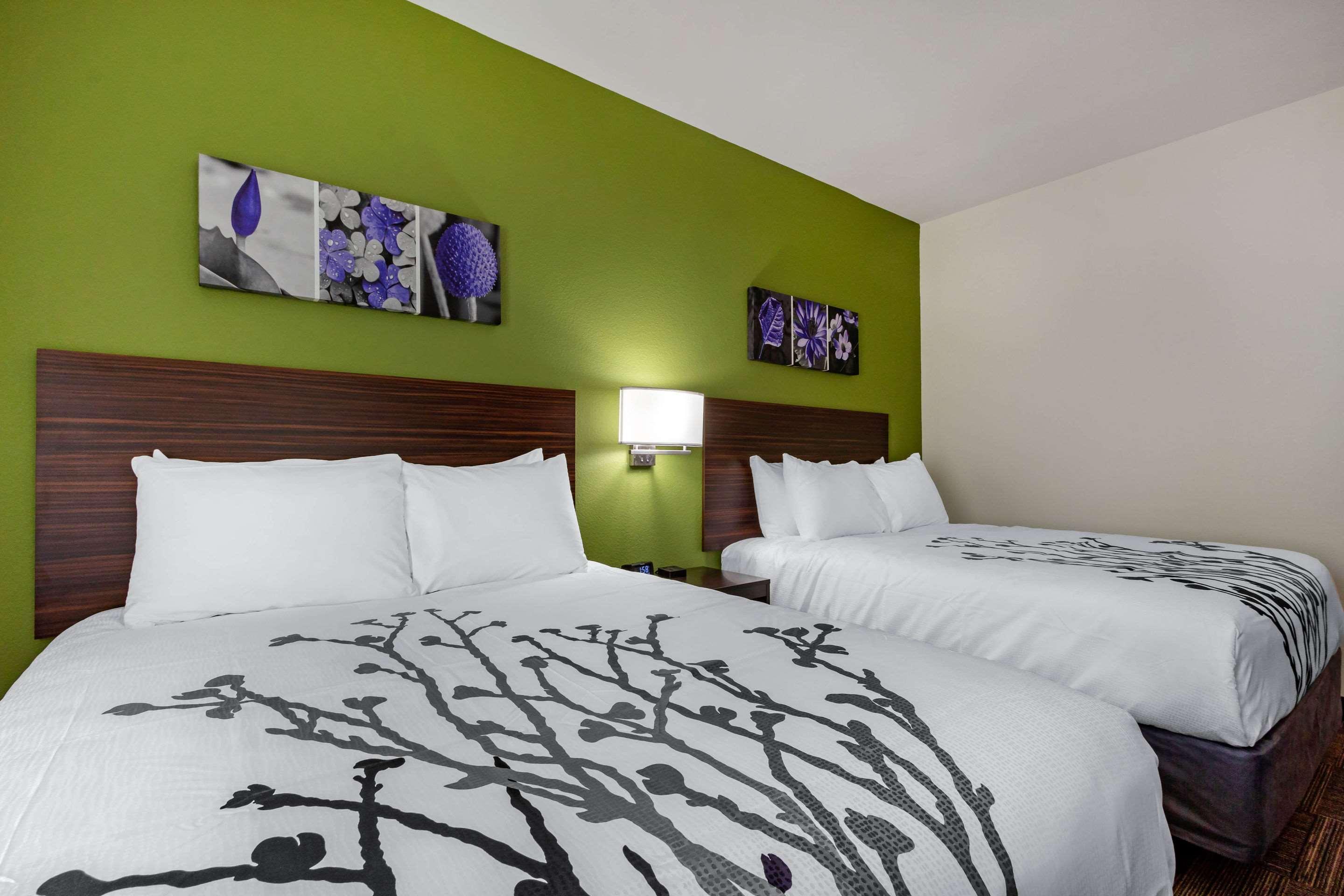 Sleep Inn & Suites Tampa South Bagian luar foto