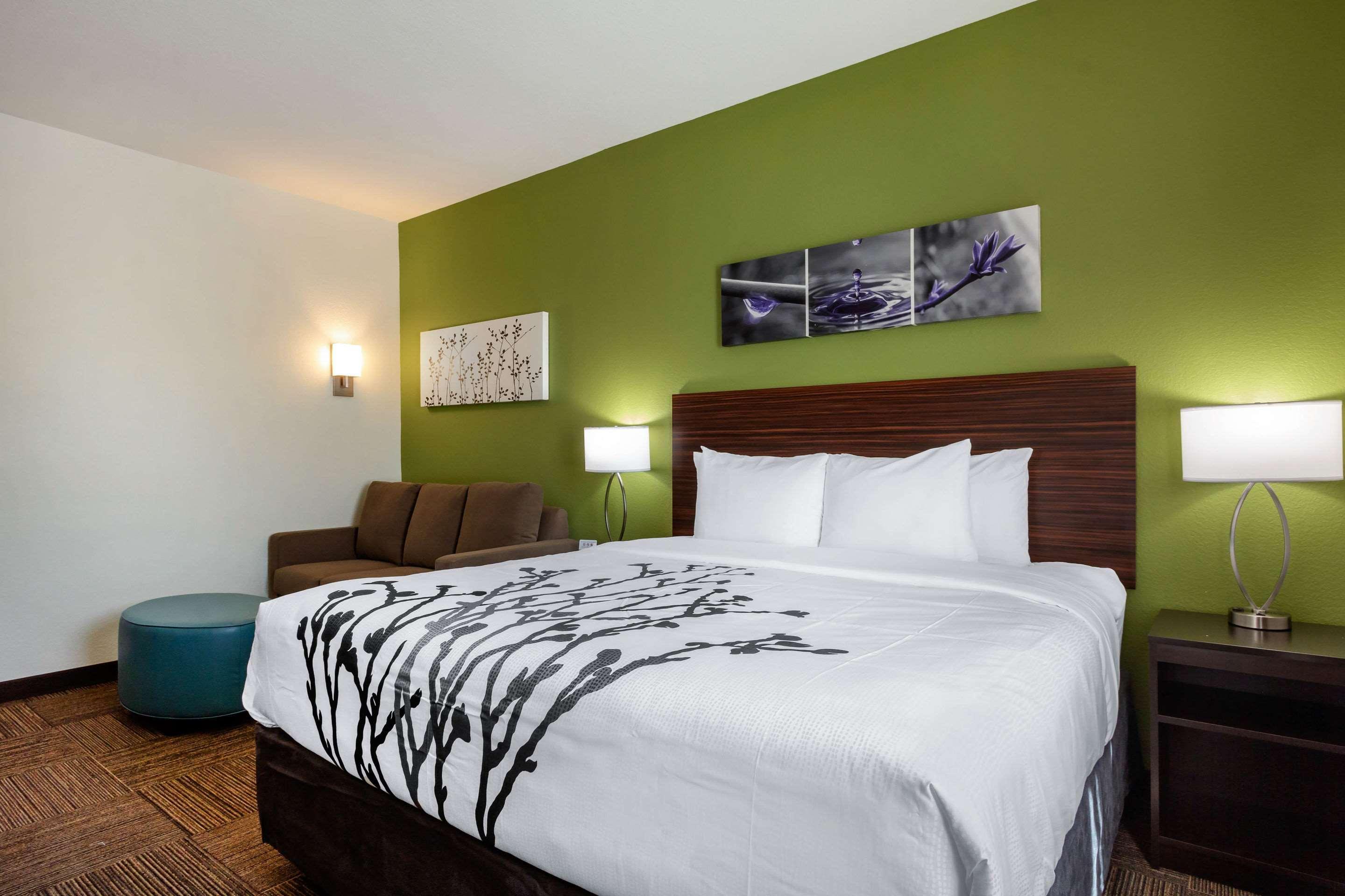 Sleep Inn & Suites Tampa South Bagian luar foto